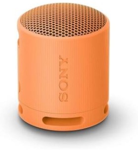 Sony SRS-XB100 Speaker...